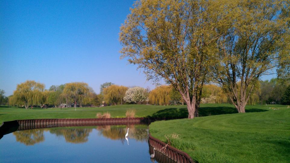 Sugar Creek Shoreline